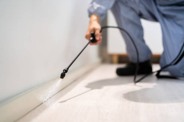 Licensed Mosquito Control service in DeSoto, TX - Show Me Pest Control