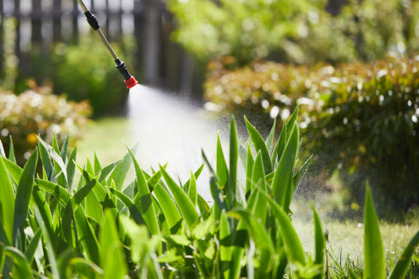 24/7 Emergency Mosquito Control experts in DeSoto, TX