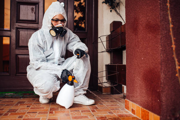 Reliable Mosquito Control contractor in DeSoto, TX by Show Me Pest Control