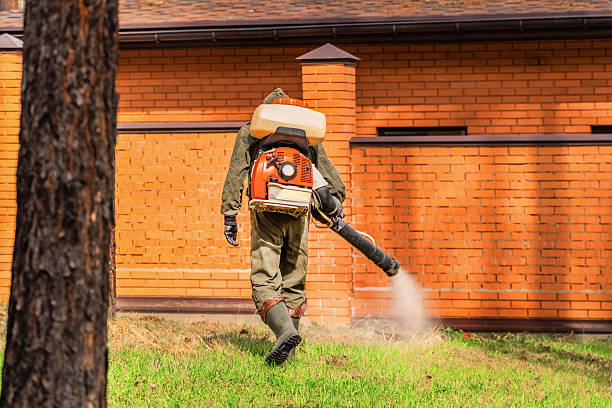 Top rated local Mosquito Control specialists in DeSoto, TX